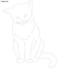 Cat dotted line drawing