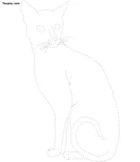 Cat dotted line drawing