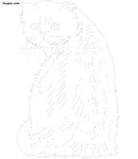 Cat dotted line drawing