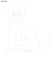 Cat dotted line drawing