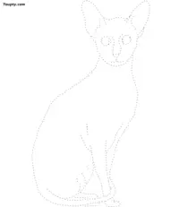 Cat dotted line drawing