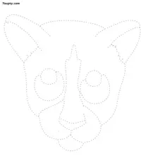 Cat dotted line drawing