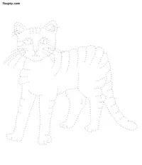 Cat dotted line drawing