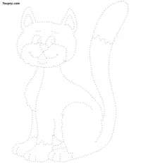 Cat dotted line drawing