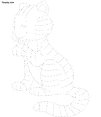 Cat dotted line drawing