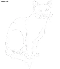 Cat dotted line drawing