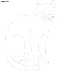 Cat dotted line drawing