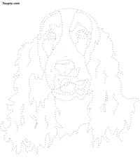 Dog dotted line drawing