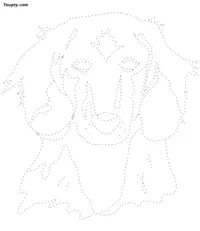 Dog dotted line drawing