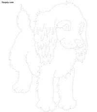 Dog dotted line drawing