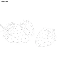 Fruit dotted line drawing