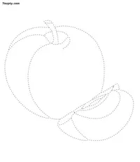 Fruit dotted line drawing