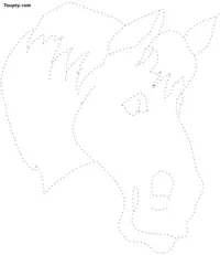 Horse dotted line drawing