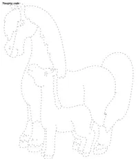 Horse dotted line drawing