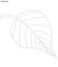 Nature-1 dotted line drawing