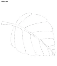 Nature-1 dotted line drawing