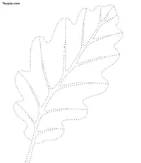 Nature-1 dotted line drawing