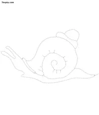 Snail dotted line drawing