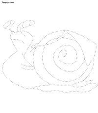 Snail dotted line drawing