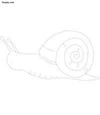 Snail dotted line drawing