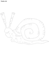 Snail dotted line drawing