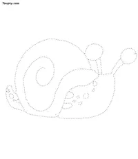 Snail dotted line drawing