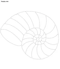 Snail dotted line drawing