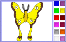 Yellow Butterfly Coloring