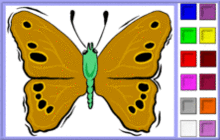 Green-Body Butterfly Coloring