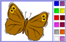 Brown Butterfly with Eye Patterns Coloring