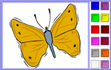 Golden Butterfly Coloring