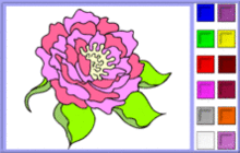 Pink Peony Coloring