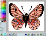 Butterflies Coloring Book