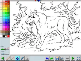 Forest Animals Coloring Book