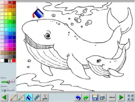 Sea Animals Coloring Book