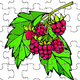 fruit puzzle 4