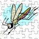 insect puzzle 6