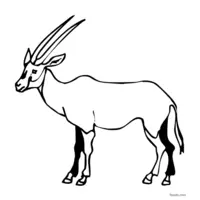 Antelope coloring page to print and color