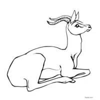 Antelope sketch in black and white to print