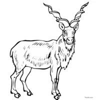 Clip art of antelope to print and color