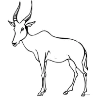 Antelope image for printing and coloring