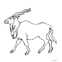 Antelope free outline for coloring