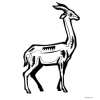 Antelope GIF to color for free