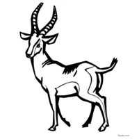 Antelope image for coloring fun