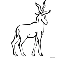 Antelope sketch for creative coloring