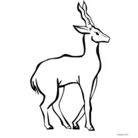 Antelope clip art for coloring activity