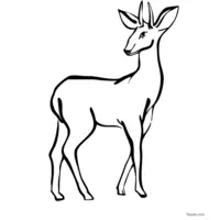 Antelope coloring image for kids