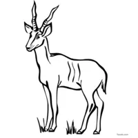 Clip art of antelope to print and color