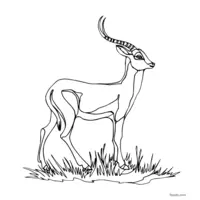 Antelope coloring for printing and coloring