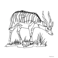 Antelope clip art to color